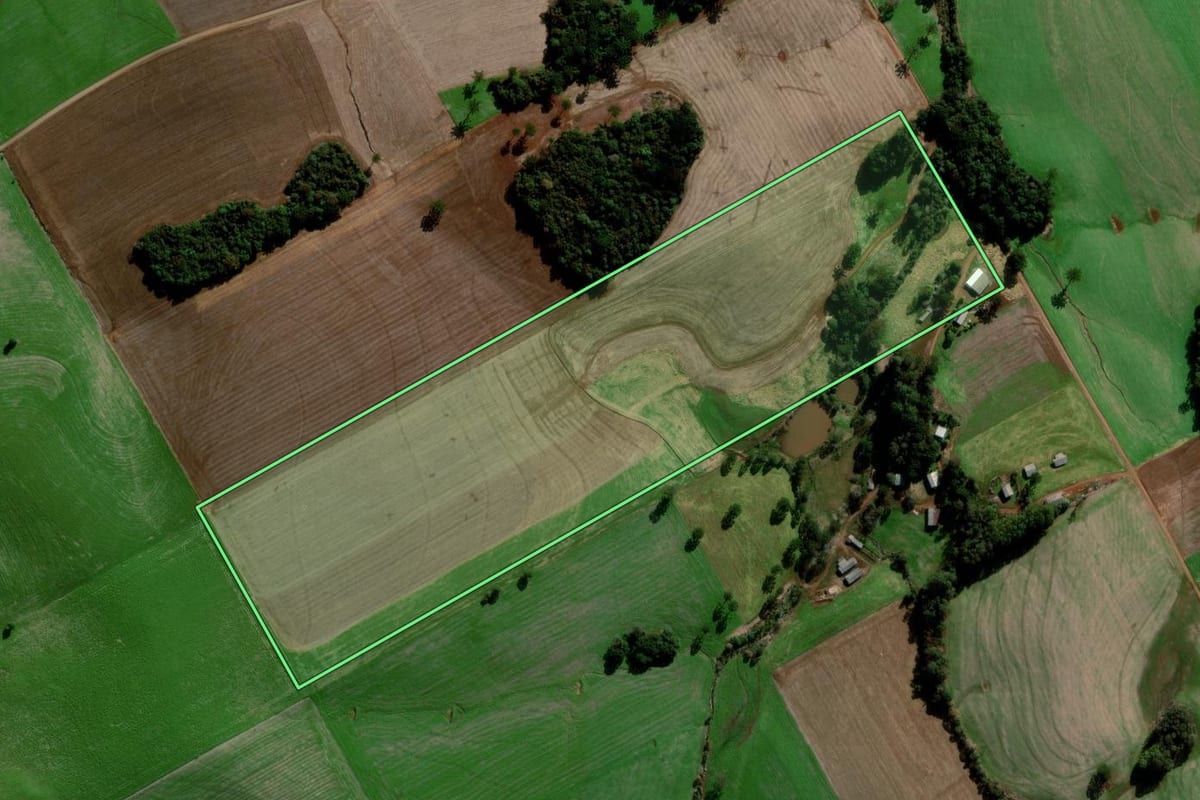 Imagem de satélite do imóvel rural em Sertão (RS), com o contorno declarado no CAR desenhado por cima.