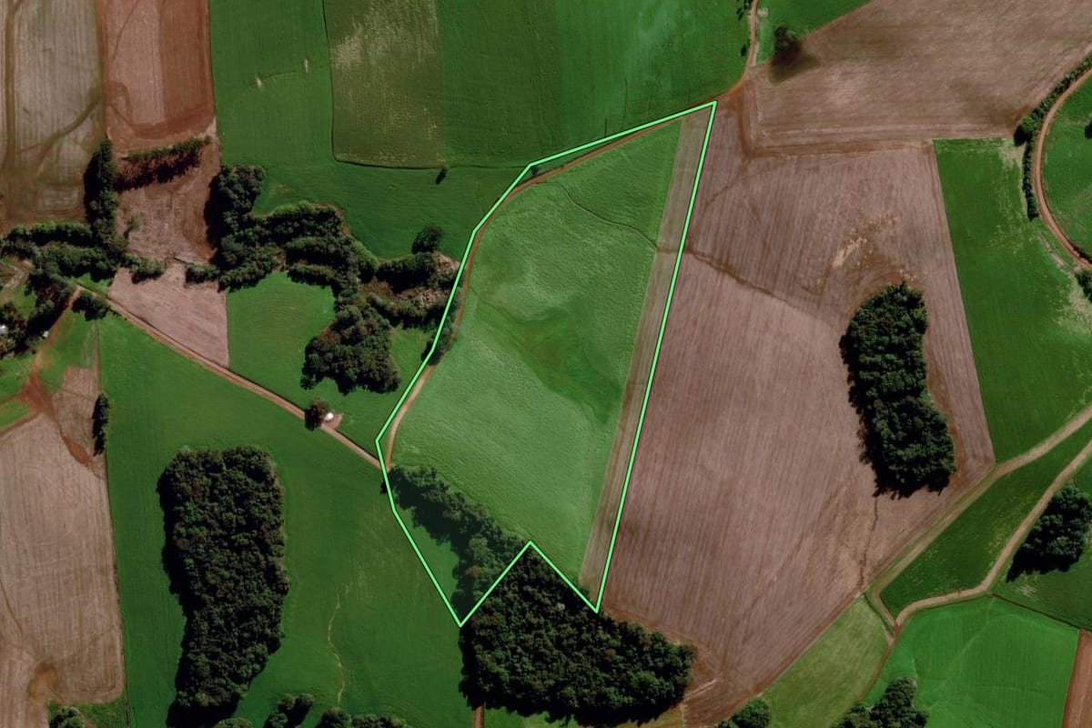 Imagem de satélite do imóvel rural em Sertão (RS), com o contorno declarado no CAR desenhado por cima.