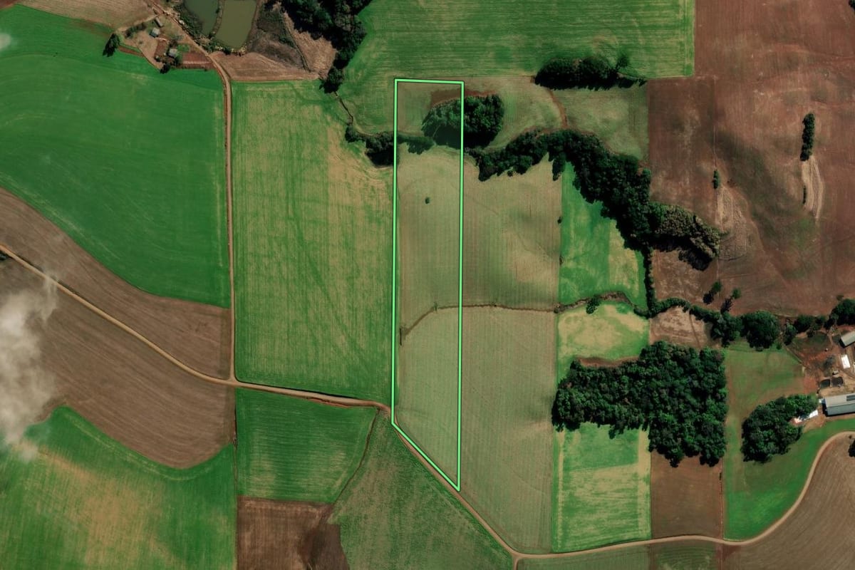 Imagem de satélite do imóvel rural em Sertão (RS), com o contorno declarado no CAR desenhado por cima.