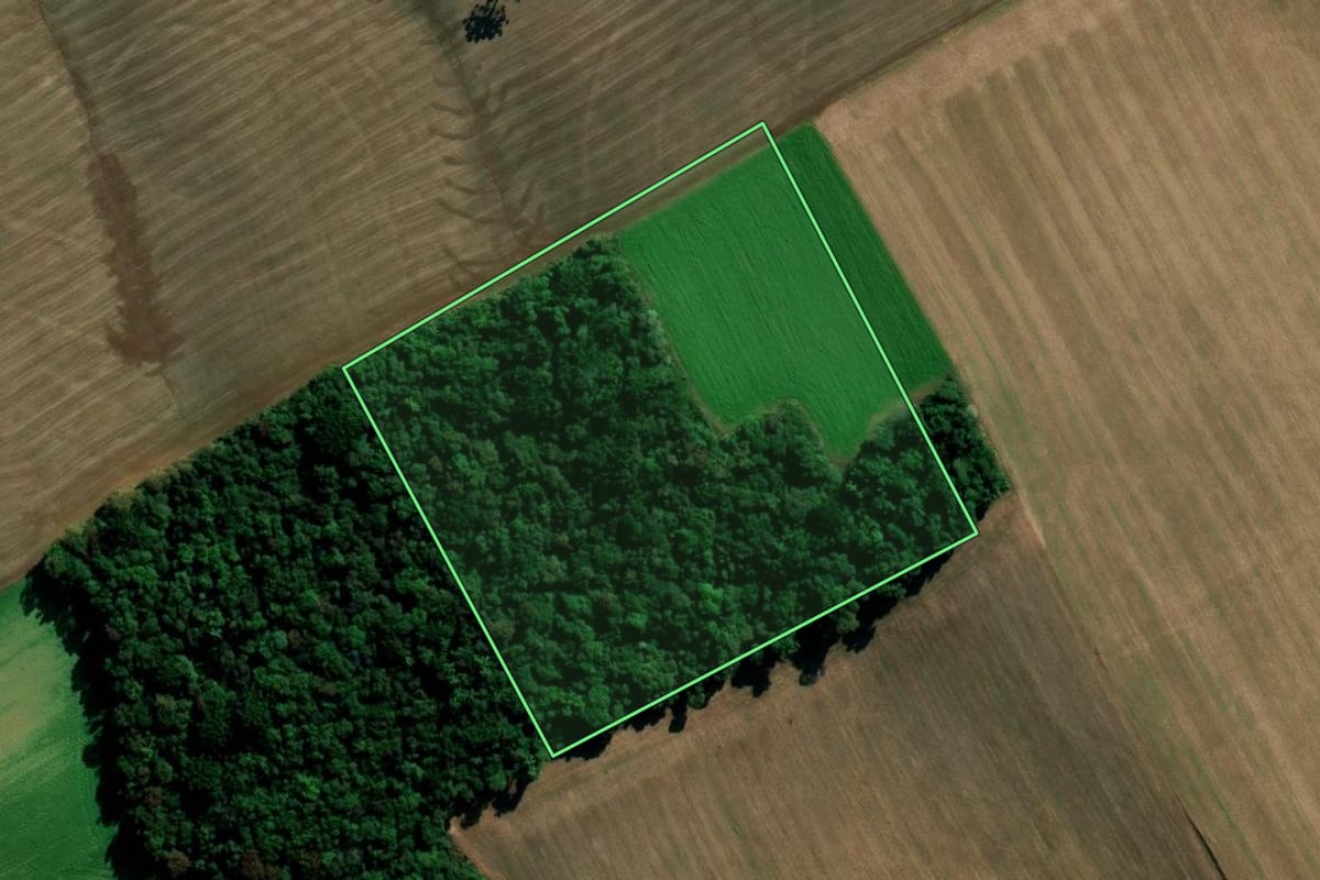 Imagem de satélite do imóvel rural em Sertão (RS), com o contorno declarado no CAR desenhado por cima.