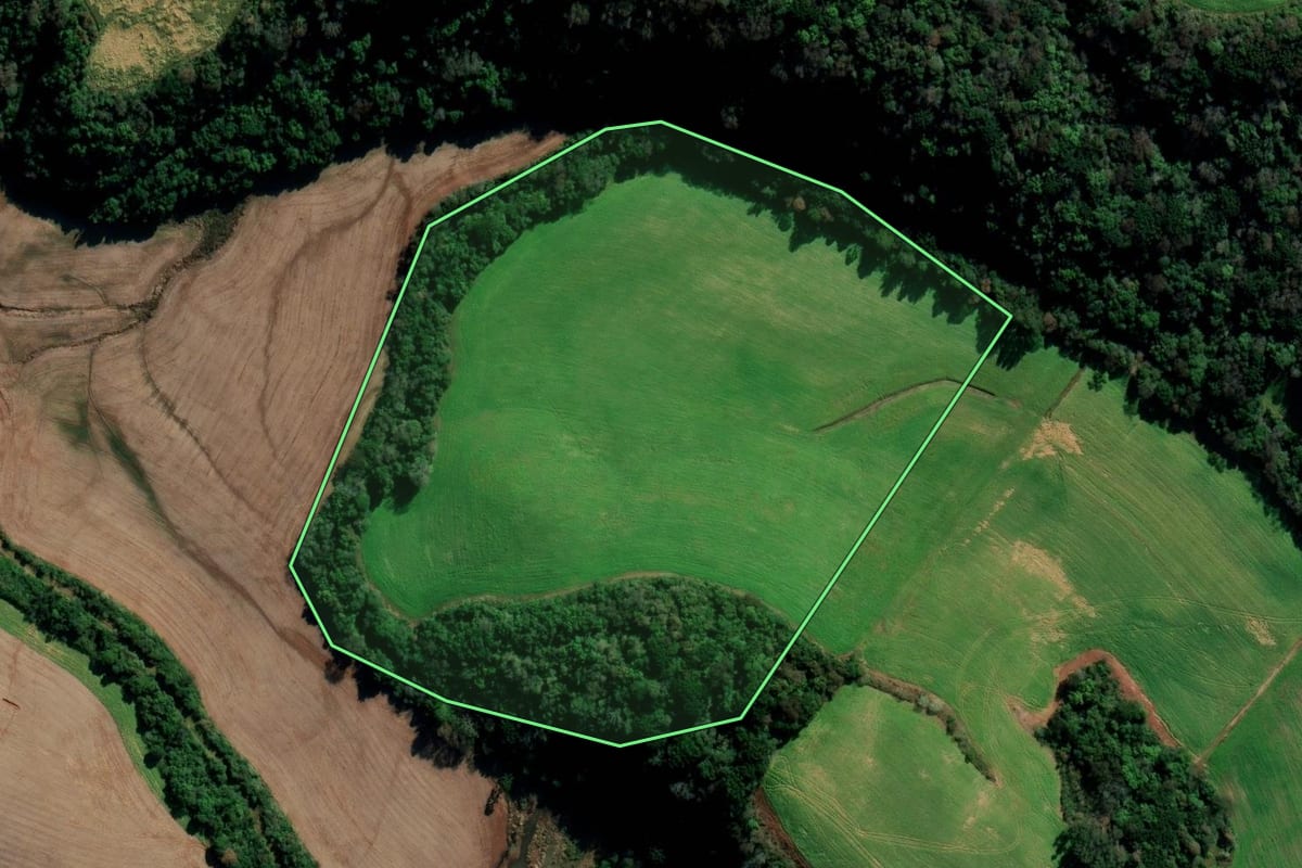 Imagem de satélite do imóvel rural em Sertão (RS), com o contorno declarado no CAR desenhado por cima.
