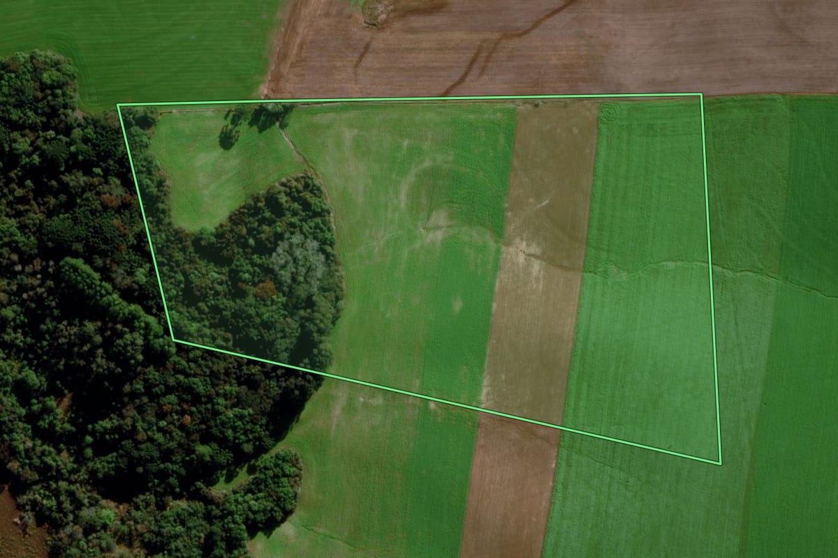 Imagem de satélite do imóvel rural em Sertão (RS), com o contorno declarado no CAR desenhado por cima.
