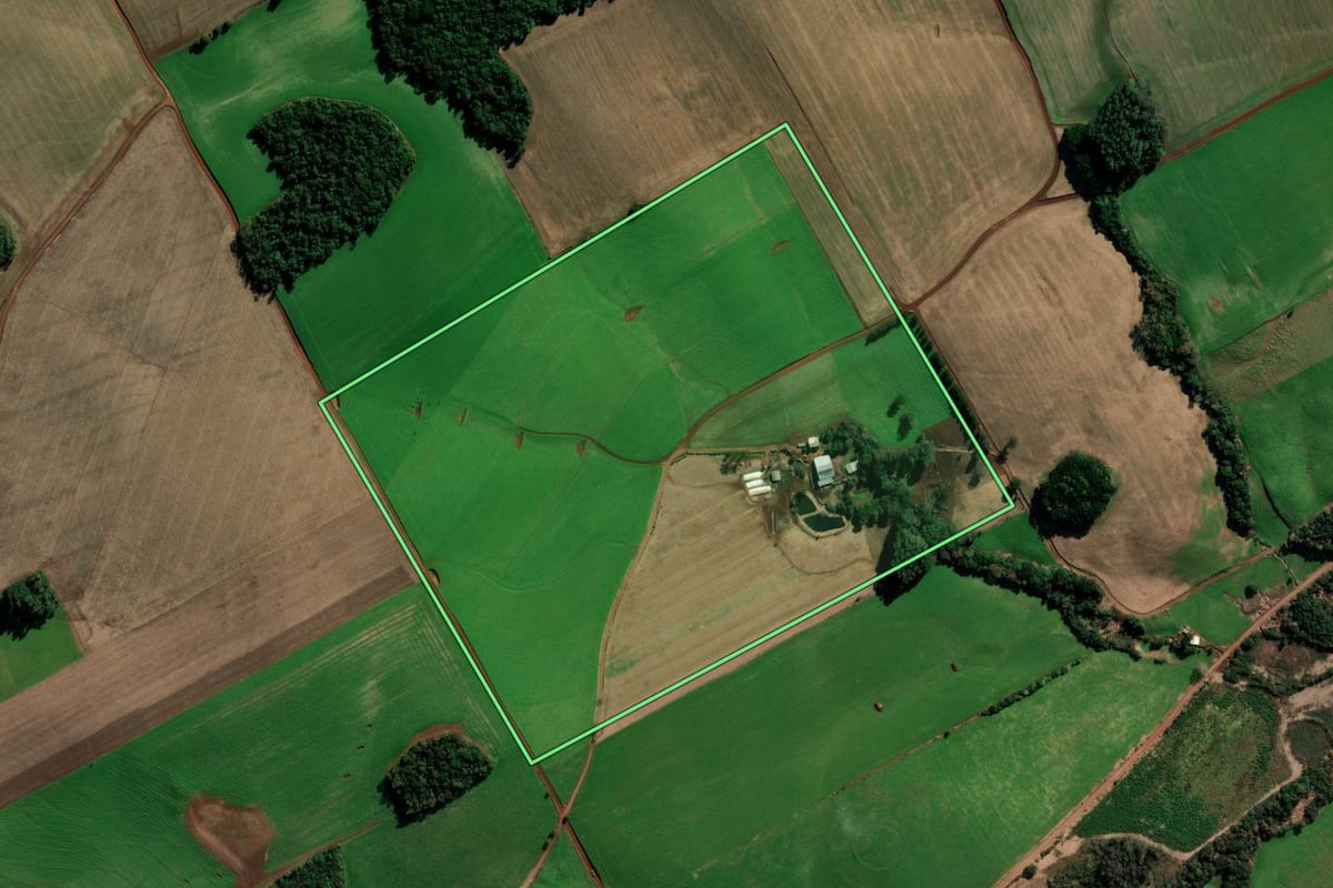 Imagem de satélite do imóvel rural em Sertão (RS), com o contorno declarado no CAR desenhado por cima.