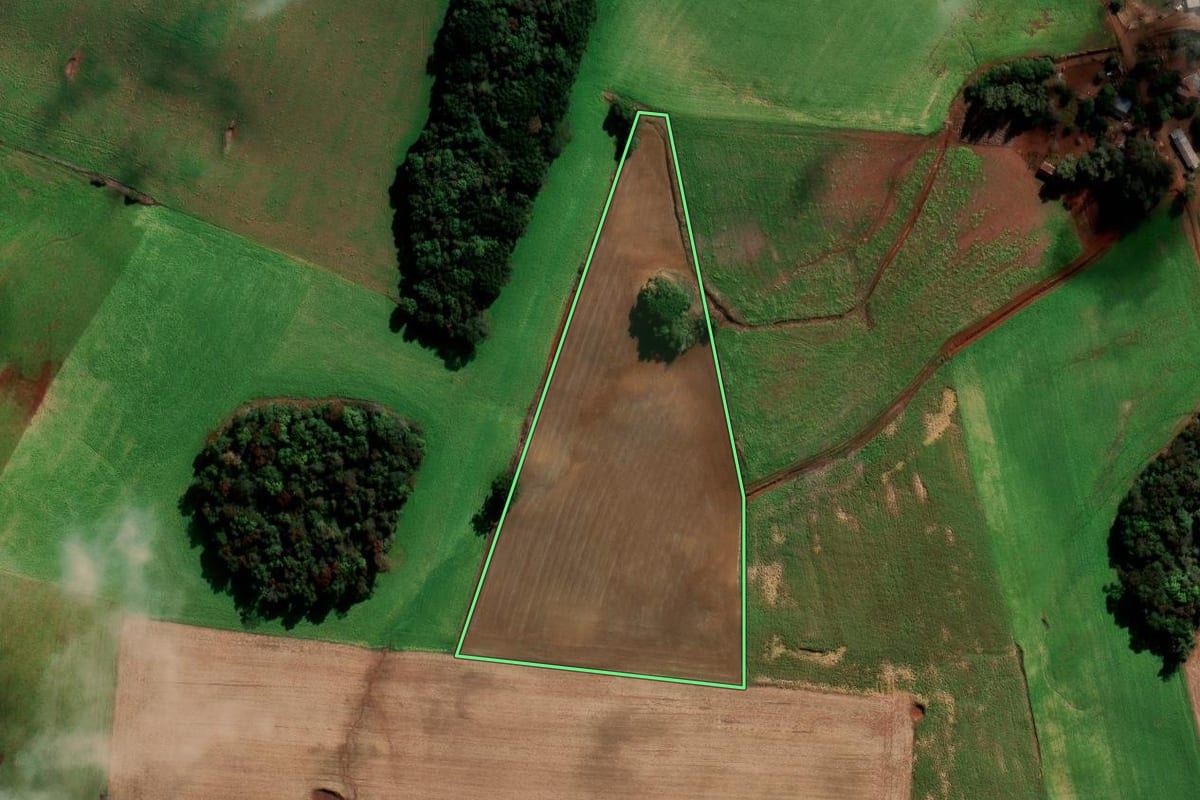 Imagem de satélite do imóvel rural em Sertão (RS), com o contorno declarado no CAR desenhado por cima.