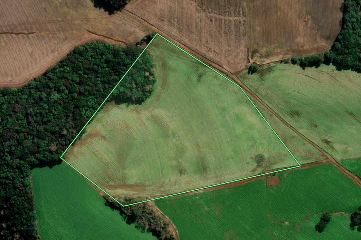 Imagem de satélite do imóvel rural em Sertão (RS), com o contorno declarado no CAR desenhado por cima.