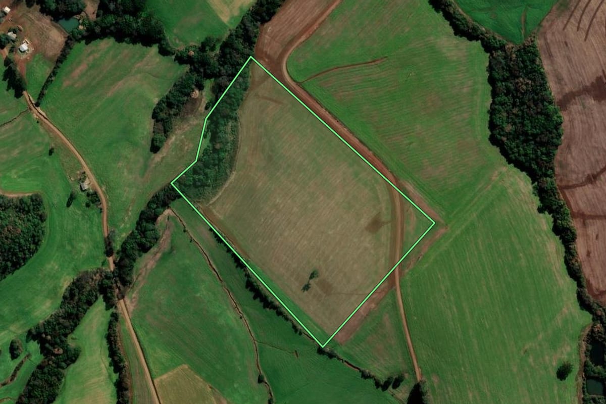 Imagem de satélite do imóvel rural em Sertão (RS), com o contorno declarado no CAR desenhado por cima.