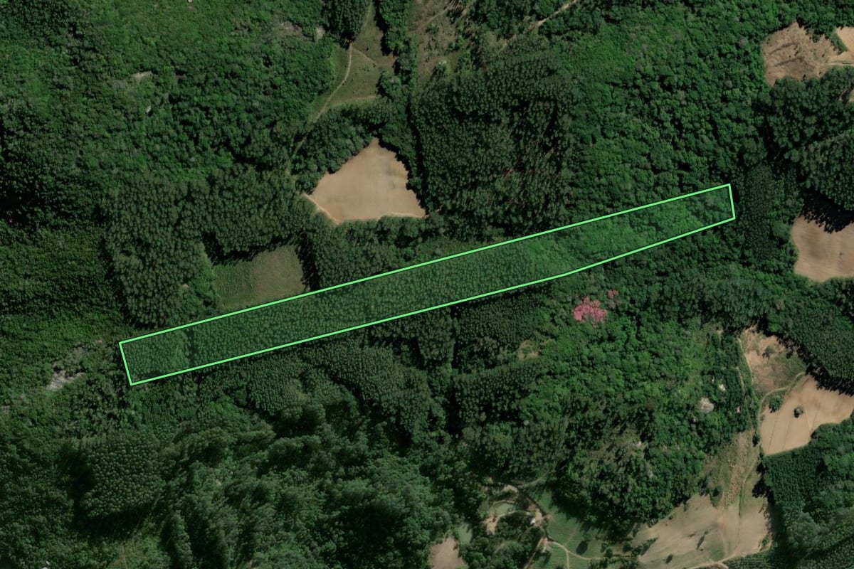 Imagem de satélite do imóvel rural em Sertão Santana (RS), com o contorno declarado no CAR desenhado por cima.