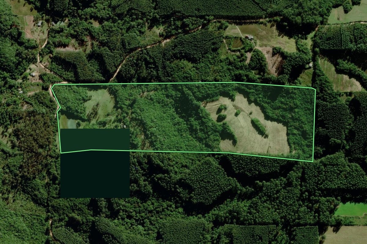 Imagem de satélite do imóvel rural em Sertão Santana (RS), com o contorno declarado no CAR desenhado por cima.