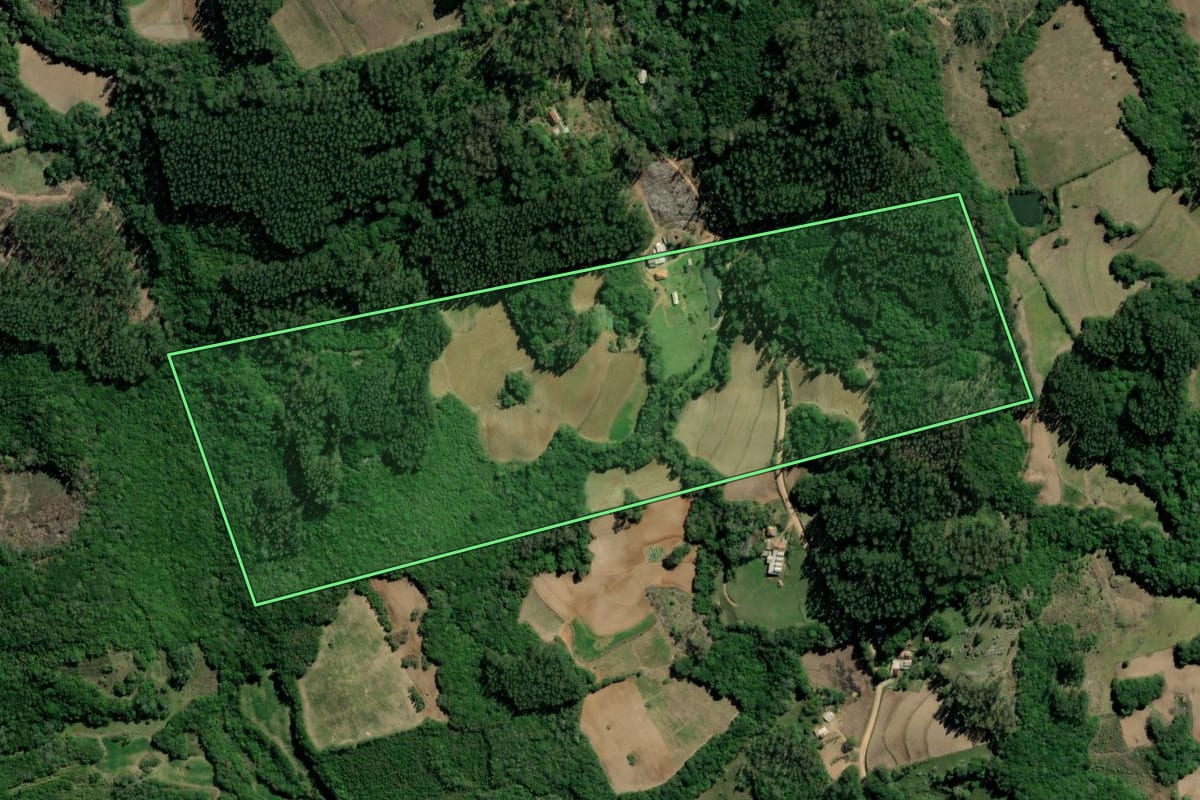 Imagem de satélite do imóvel rural em Sertão Santana (RS), com o contorno declarado no CAR desenhado por cima.