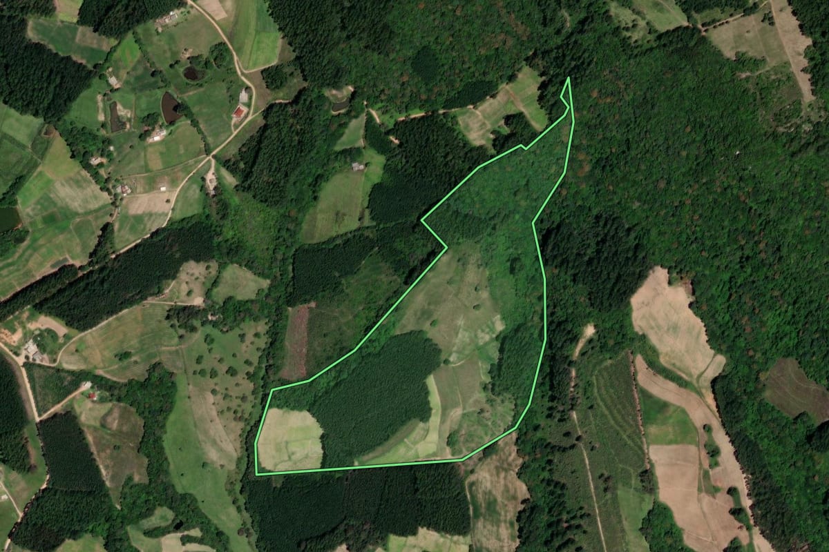 Imagem de satélite do imóvel rural em Sertão Santana (RS), com o contorno declarado no CAR desenhado por cima.