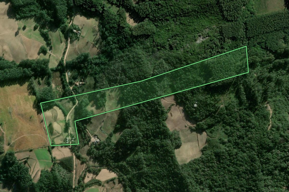 Imagem de satélite do imóvel rural em Sertão Santana (RS), com o contorno declarado no CAR desenhado por cima.