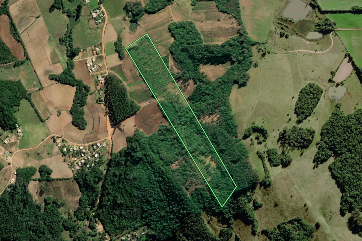 Imagem de satélite do imóvel rural em Sertão Santana (RS), com o contorno declarado no CAR desenhado por cima.