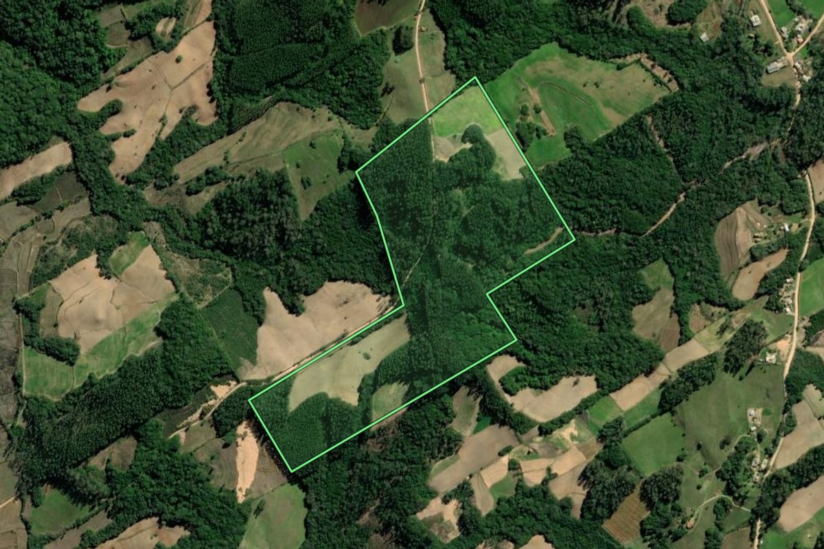 Imagem de satélite do imóvel rural em Sertão Santana (RS), com o contorno declarado no CAR desenhado por cima.