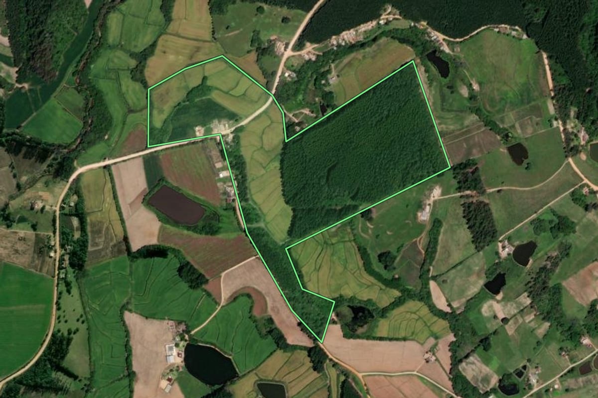 Imagem de satélite do imóvel rural em Sertão Santana (RS), com o contorno declarado no CAR desenhado por cima.