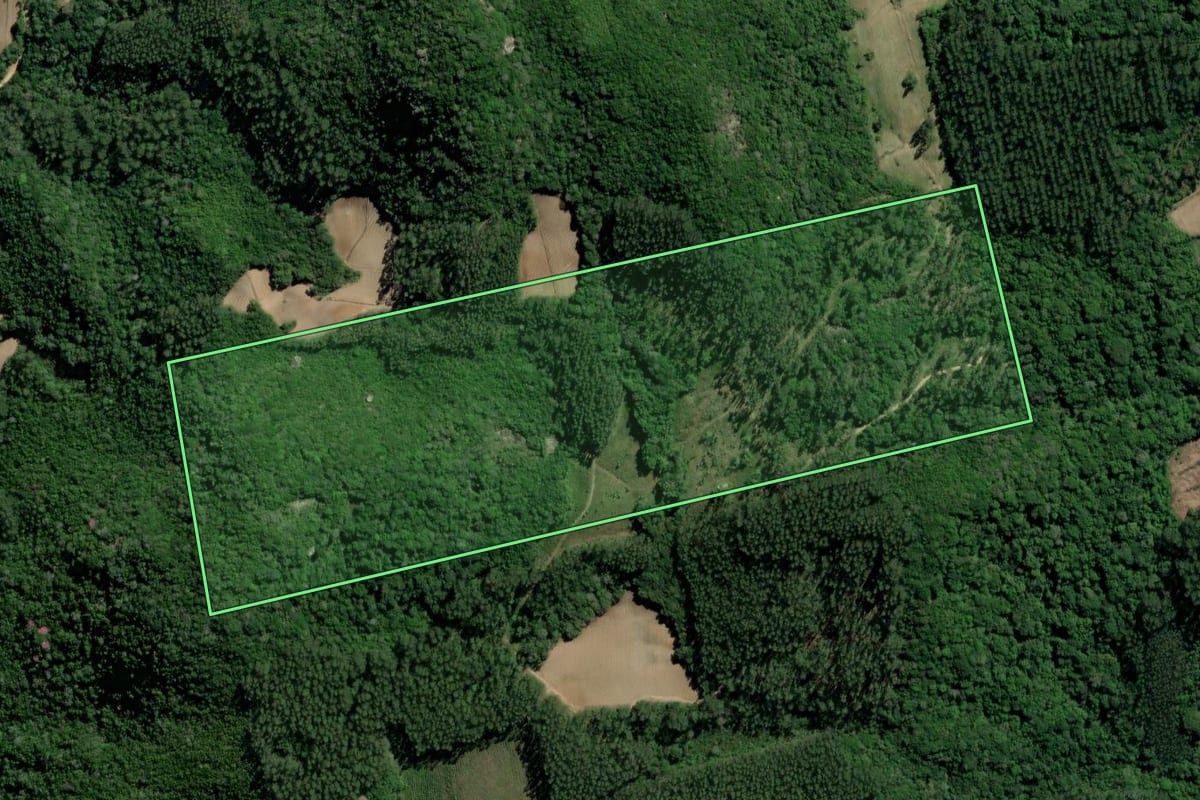 Imagem de satélite do imóvel rural em Sertão Santana (RS), com o contorno declarado no CAR desenhado por cima.