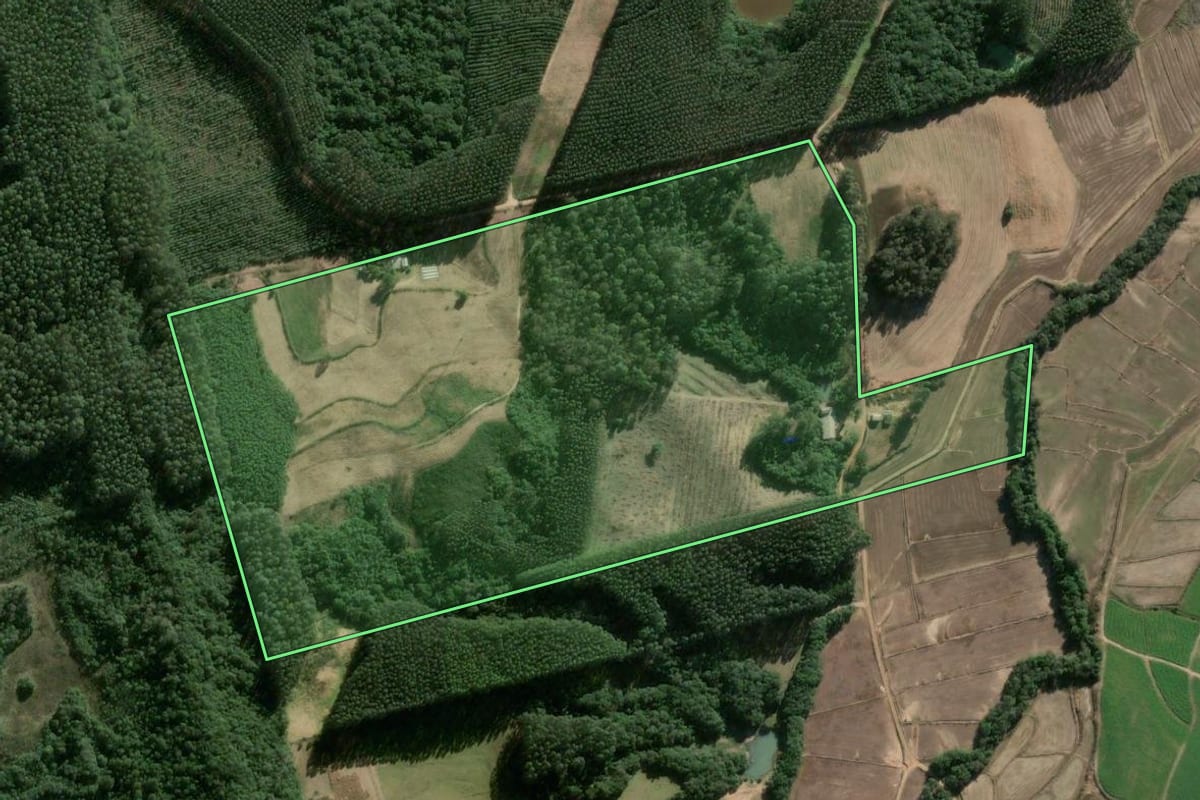 Imagem de satélite do imóvel rural em Sertão Santana (RS), com o contorno declarado no CAR desenhado por cima.