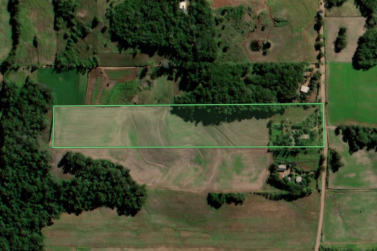Imagem de satélite do imóvel rural em Sete de Setembro (RS), com o contorno declarado no CAR desenhado por cima.