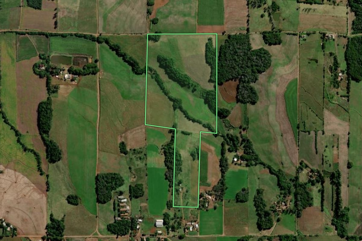 Imagem de satélite do imóvel rural em Sete de Setembro (RS), com o contorno declarado no CAR desenhado por cima.