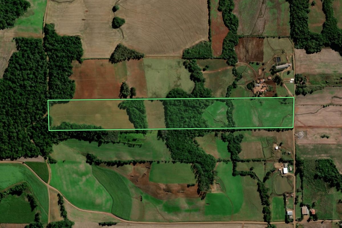 Imagem de satélite do imóvel rural em Sete de Setembro (RS), com o contorno declarado no CAR desenhado por cima.