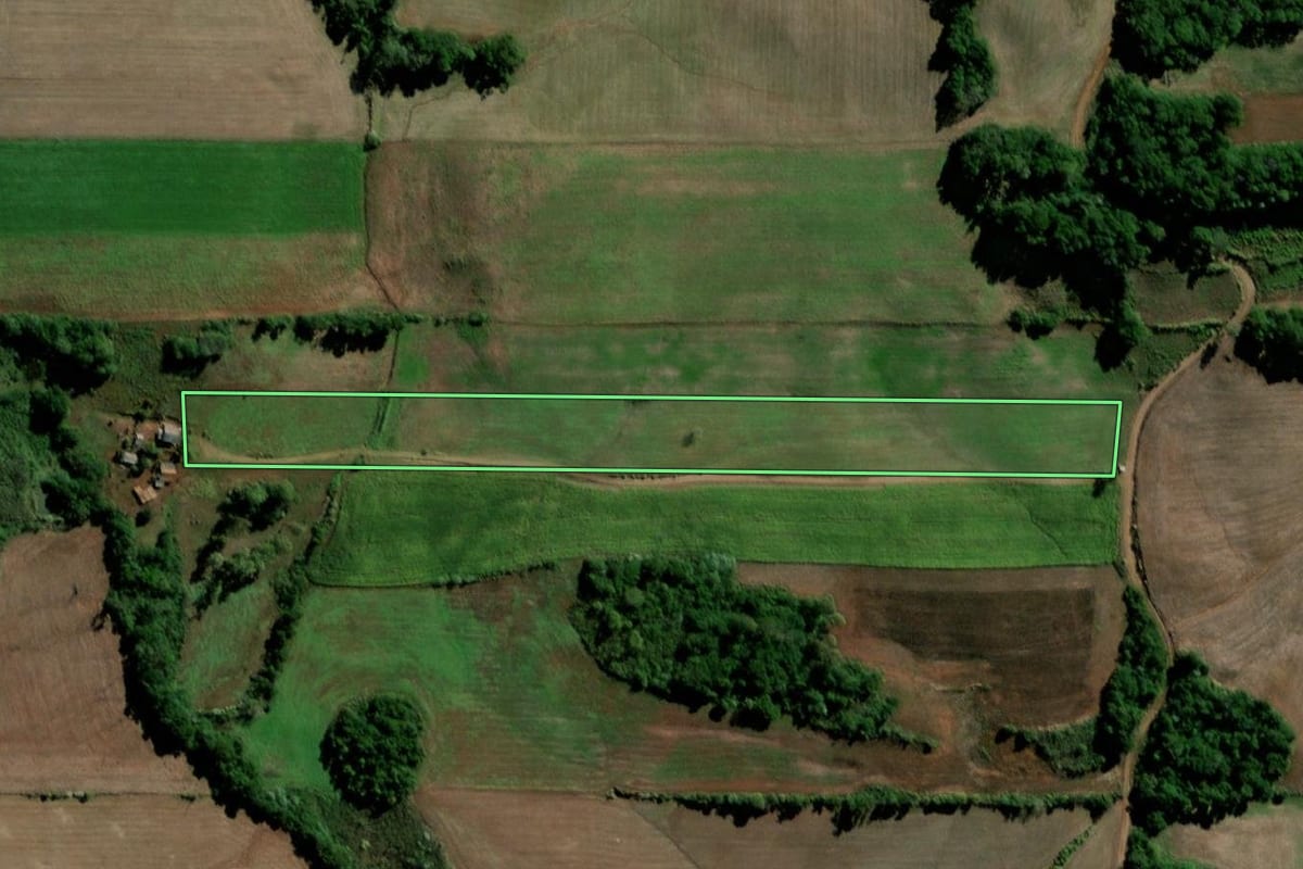 Imagem de satélite do imóvel rural em Sete de Setembro (RS), com o contorno declarado no CAR desenhado por cima.