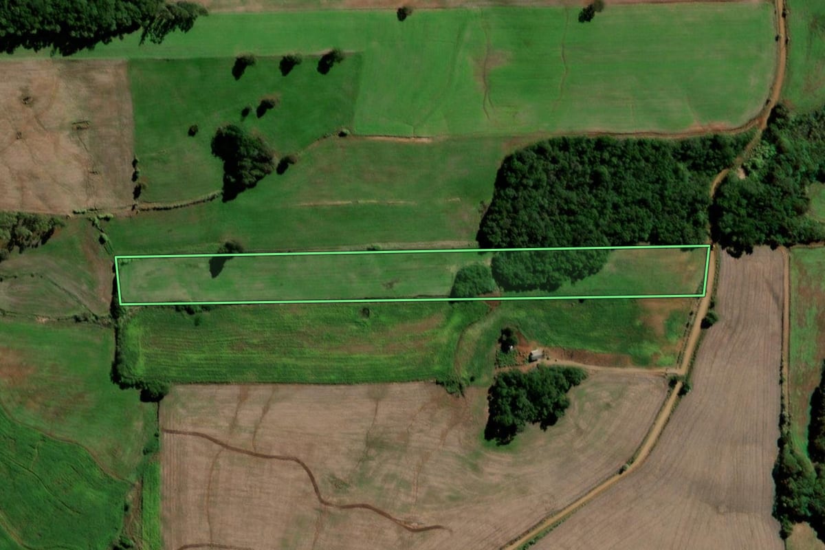 Imagem de satélite do imóvel rural em Sete de Setembro (RS), com o contorno declarado no CAR desenhado por cima.