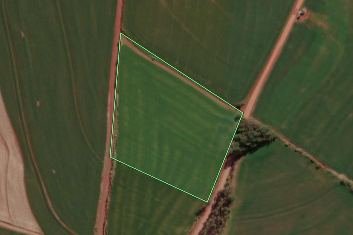 Imagem de satélite do imóvel rural em Sete de Setembro (RS), com o contorno declarado no CAR desenhado por cima.