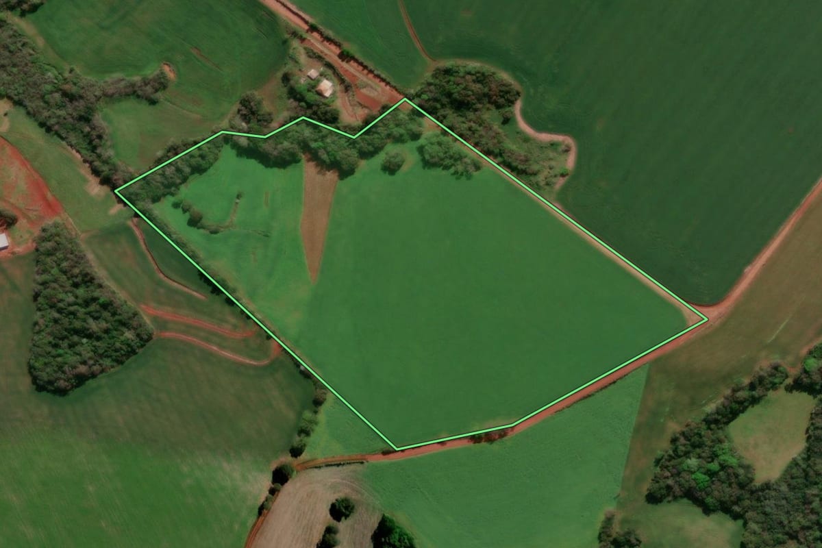 Imagem de satélite do imóvel rural em Sete de Setembro (RS), com o contorno declarado no CAR desenhado por cima.