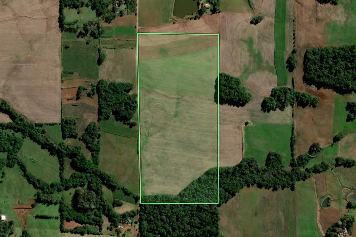 Imagem de satélite do imóvel rural em Sete de Setembro (RS), com o contorno declarado no CAR desenhado por cima.