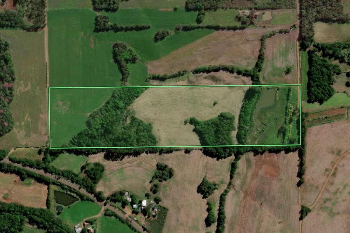 Imagem de satélite do imóvel rural em Sete de Setembro (RS), com o contorno declarado no CAR desenhado por cima.