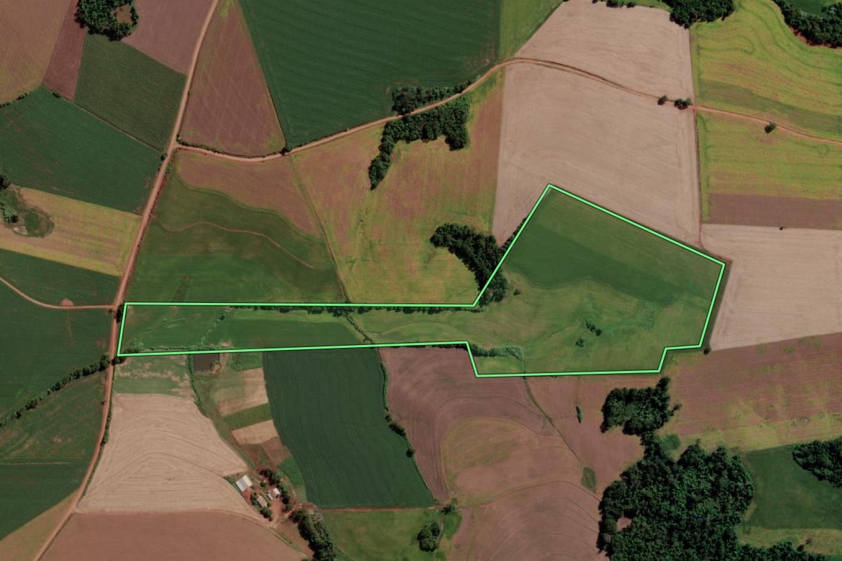Imagem de satélite do imóvel rural em Sete de Setembro (RS), com o contorno declarado no CAR desenhado por cima.