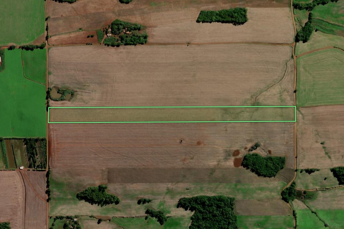 Imagem de satélite do imóvel rural em Sete de Setembro (RS), com o contorno declarado no CAR desenhado por cima.