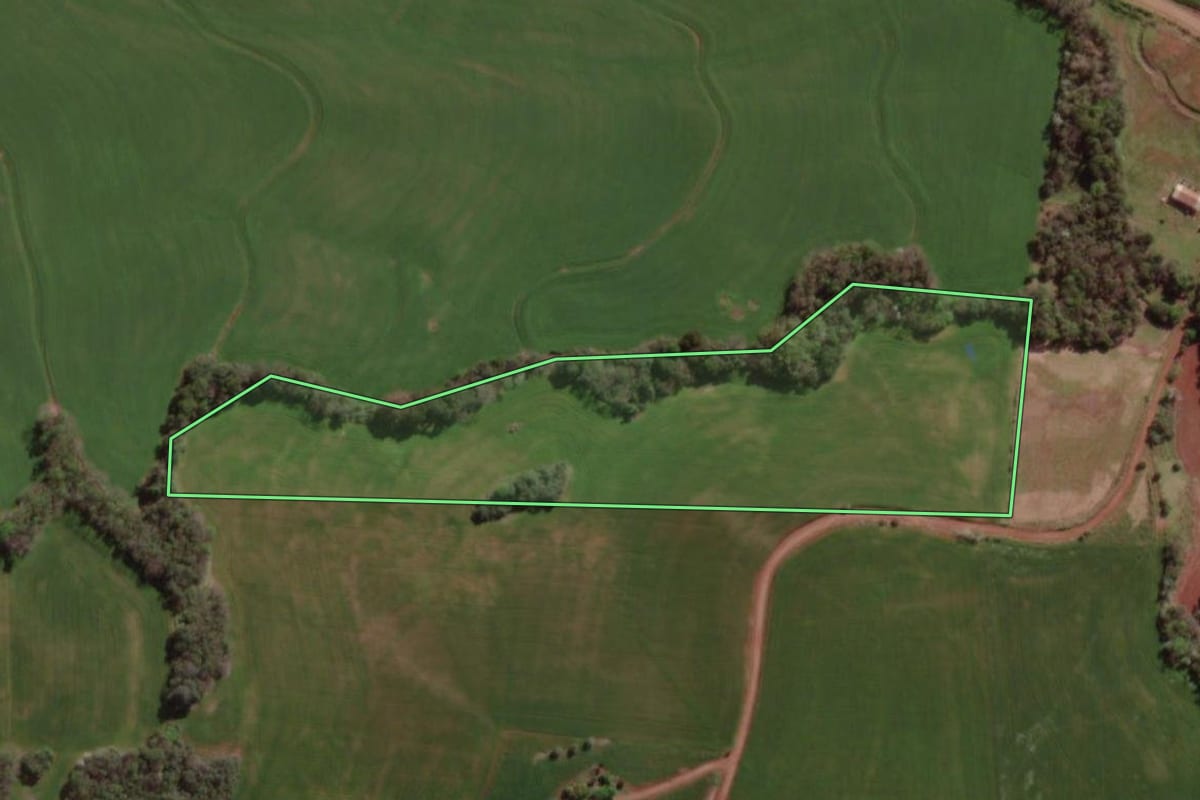 Imagem de satélite do imóvel rural em Sete de Setembro (RS), com o contorno declarado no CAR desenhado por cima.