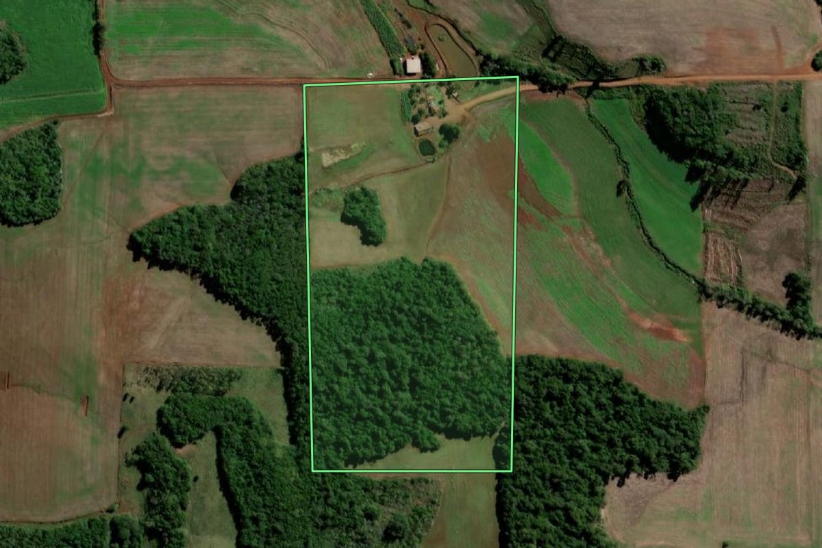 Imagem de satélite do imóvel rural em Sete de Setembro (RS), com o contorno declarado no CAR desenhado por cima.