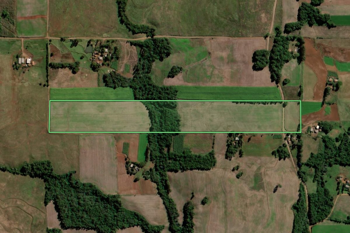 Imagem de satélite do imóvel rural em Sete de Setembro (RS), com o contorno declarado no CAR desenhado por cima.