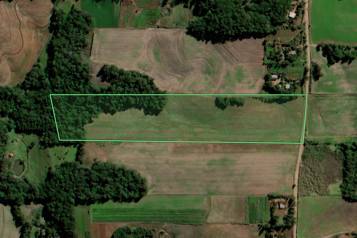 Imagem de satélite do imóvel rural em Sete de Setembro (RS), com o contorno declarado no CAR desenhado por cima.