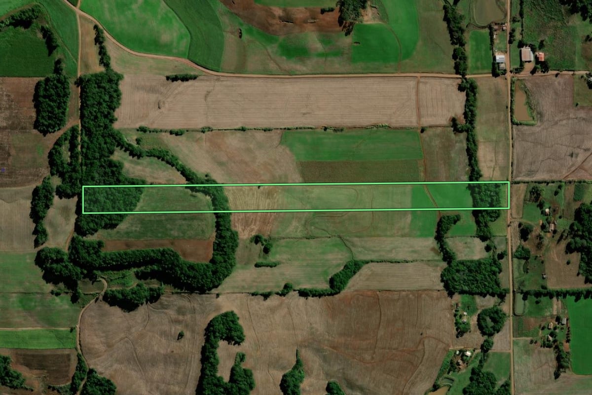Imagem de satélite do imóvel rural em Sete de Setembro (RS), com o contorno declarado no CAR desenhado por cima.