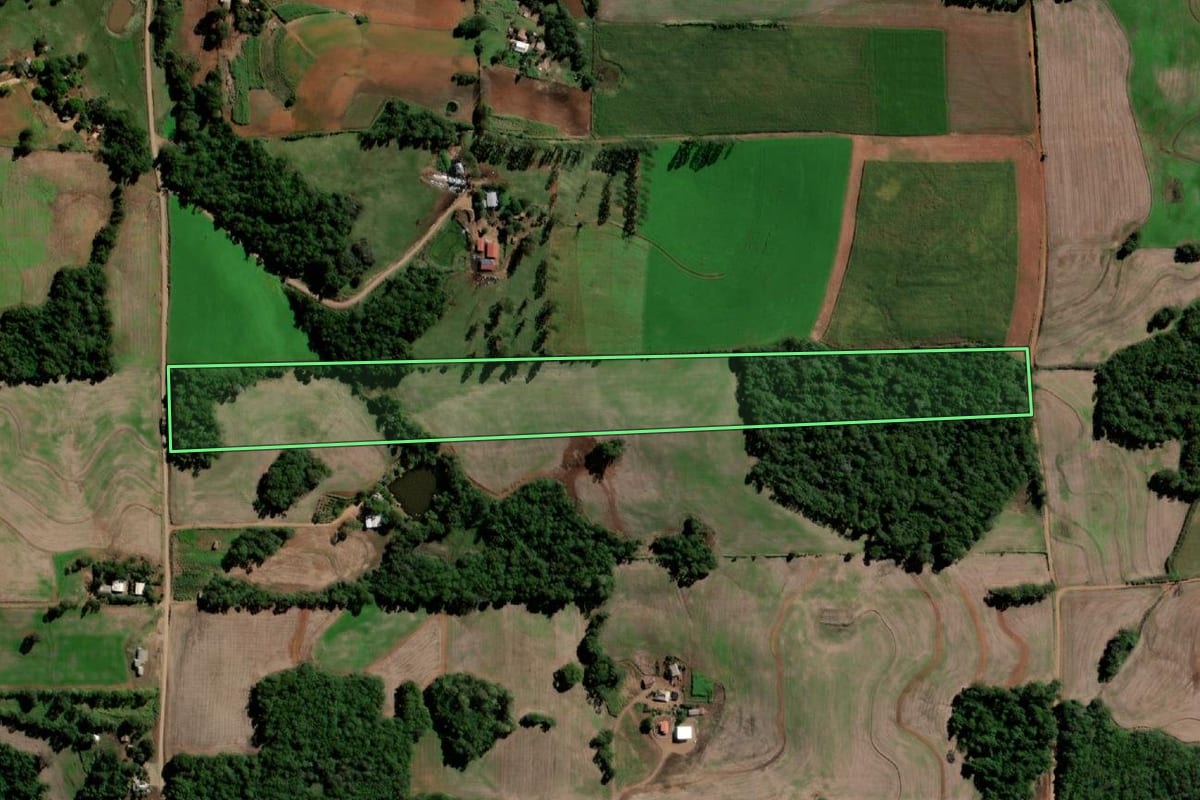 Imagem de satélite do imóvel rural em Sete de Setembro (RS), com o contorno declarado no CAR desenhado por cima.