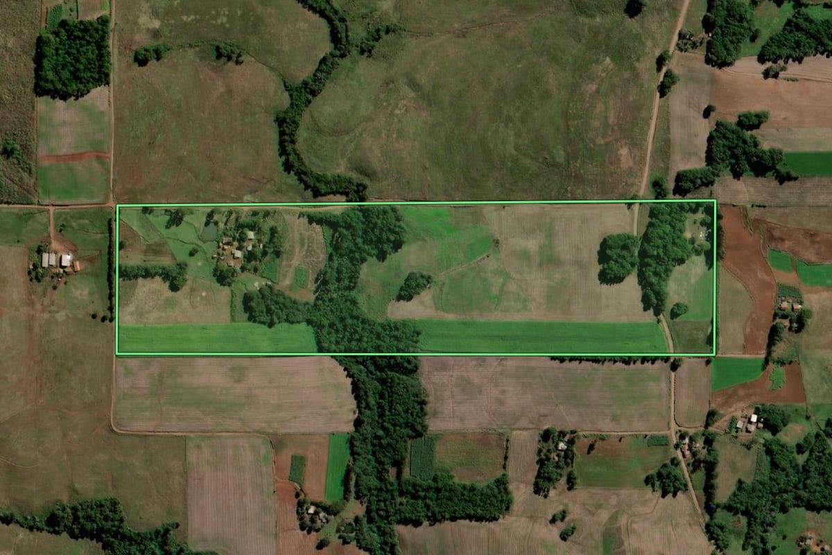 Imagem de satélite do imóvel rural em Sete de Setembro (RS), com o contorno declarado no CAR desenhado por cima.
