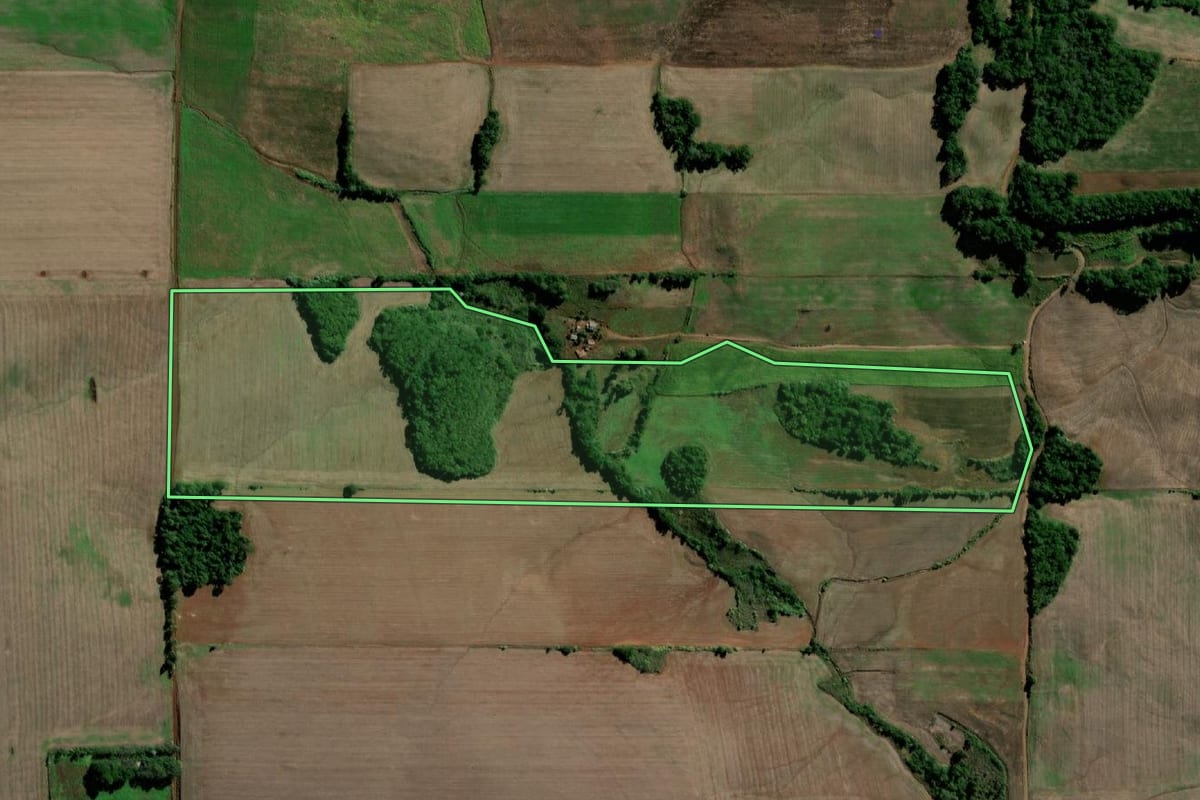 Imagem de satélite do imóvel rural em Sete de Setembro (RS), com o contorno declarado no CAR desenhado por cima.