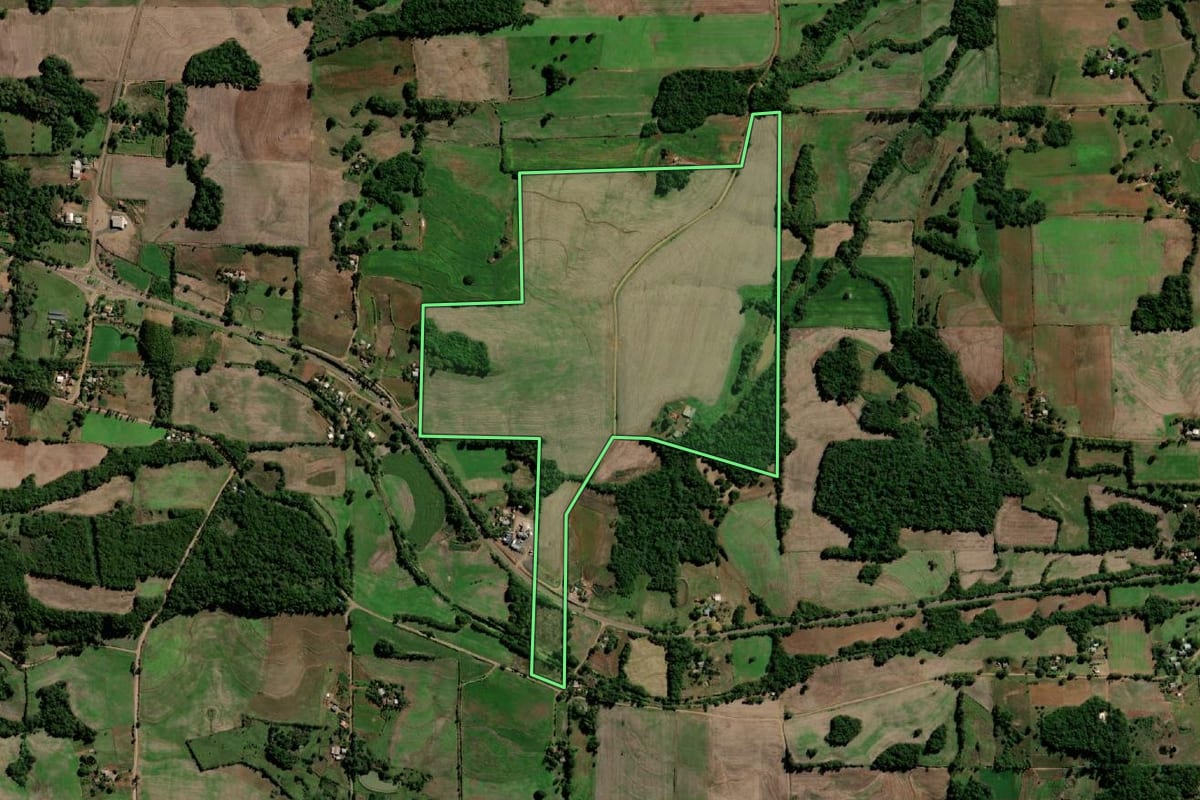 Imagem de satélite do imóvel rural em Sete de Setembro (RS), com o contorno declarado no CAR desenhado por cima.