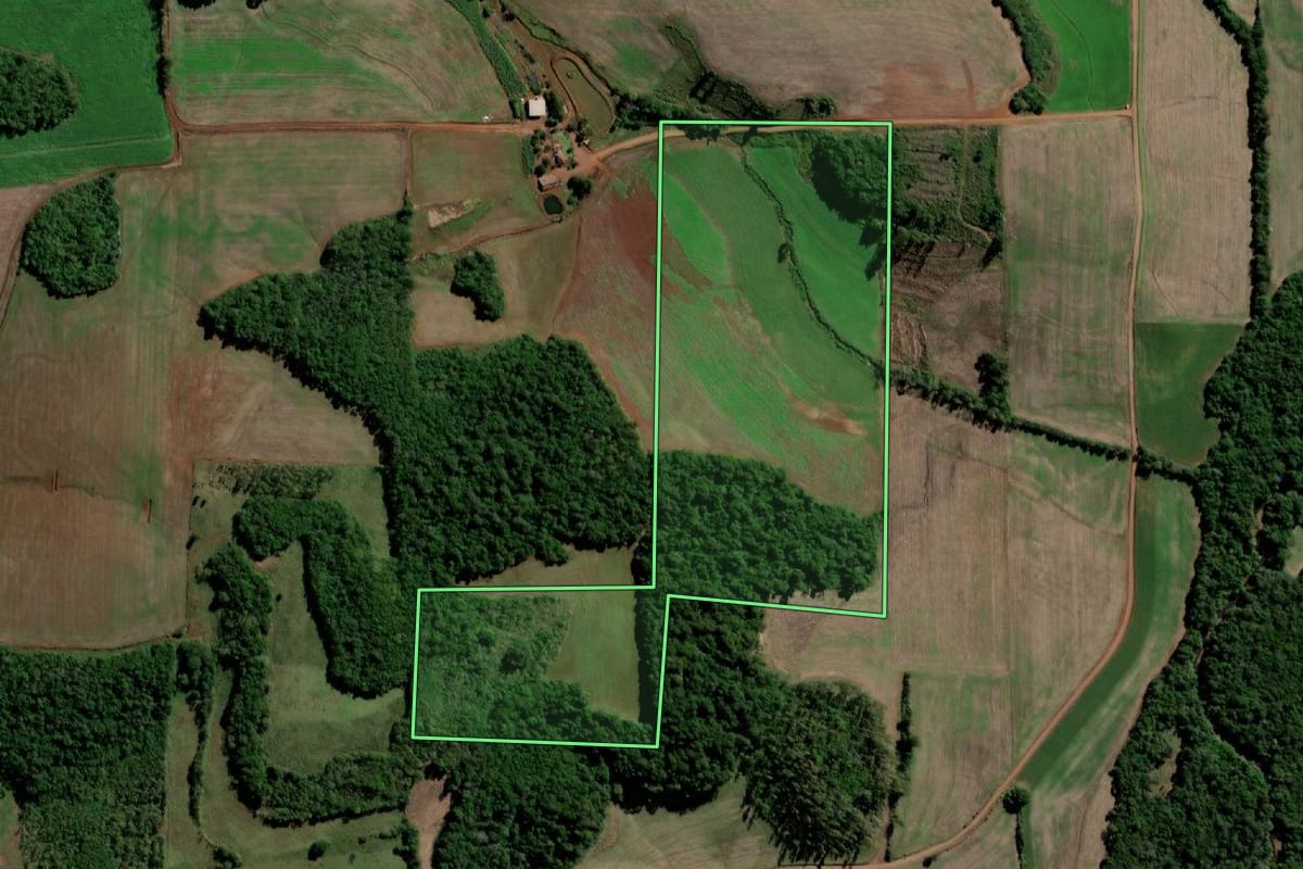 Imagem de satélite do imóvel rural em Sete de Setembro (RS), com o contorno declarado no CAR desenhado por cima.