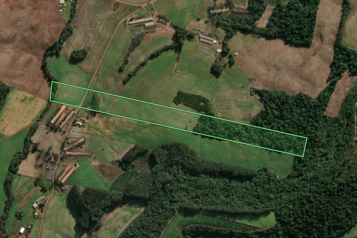 Imagem de satélite do imóvel rural em Severiano de Almeida (RS), com o contorno declarado no CAR desenhado por cima.