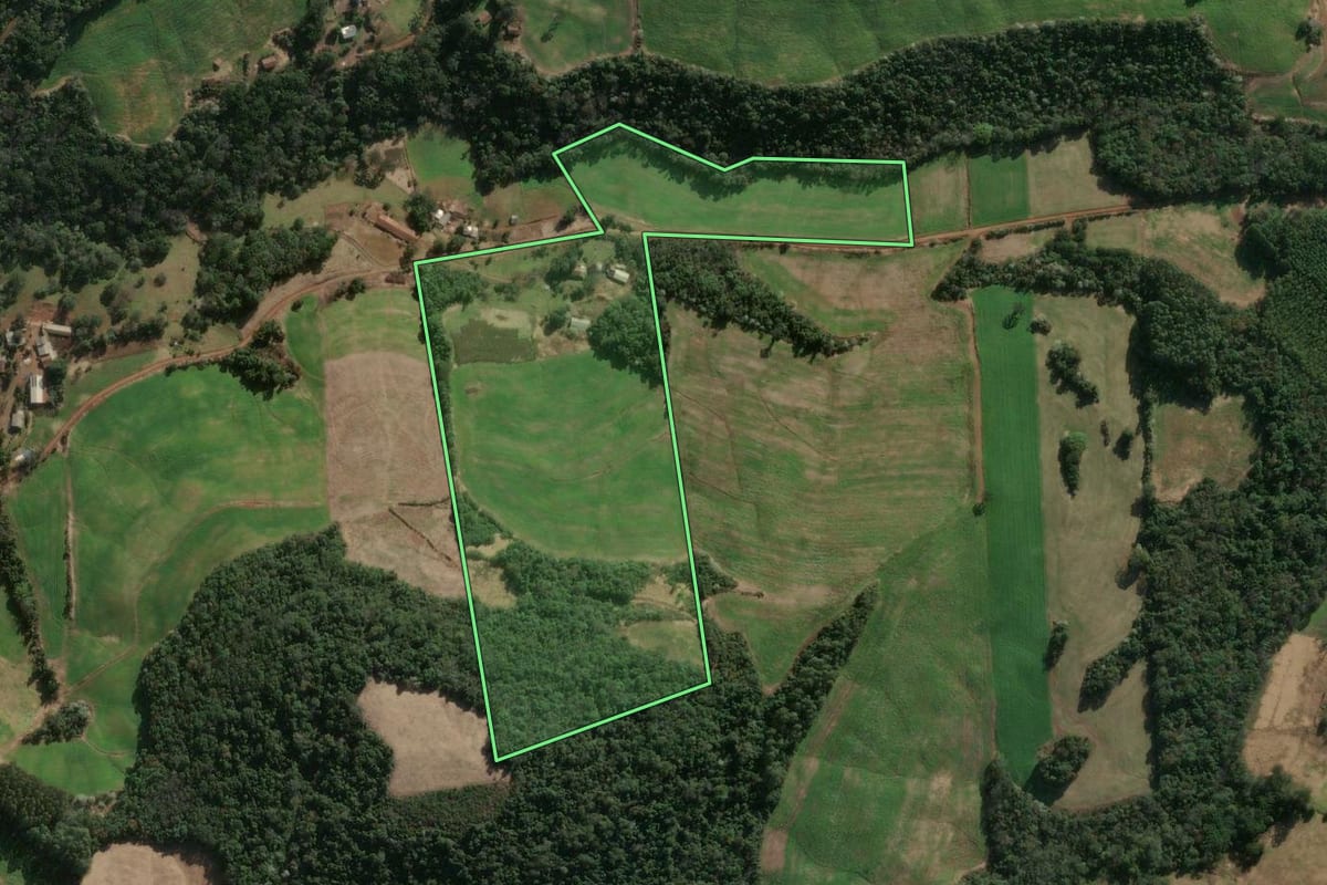 Imagem de satélite do imóvel rural em Severiano de Almeida (RS), com o contorno declarado no CAR desenhado por cima.