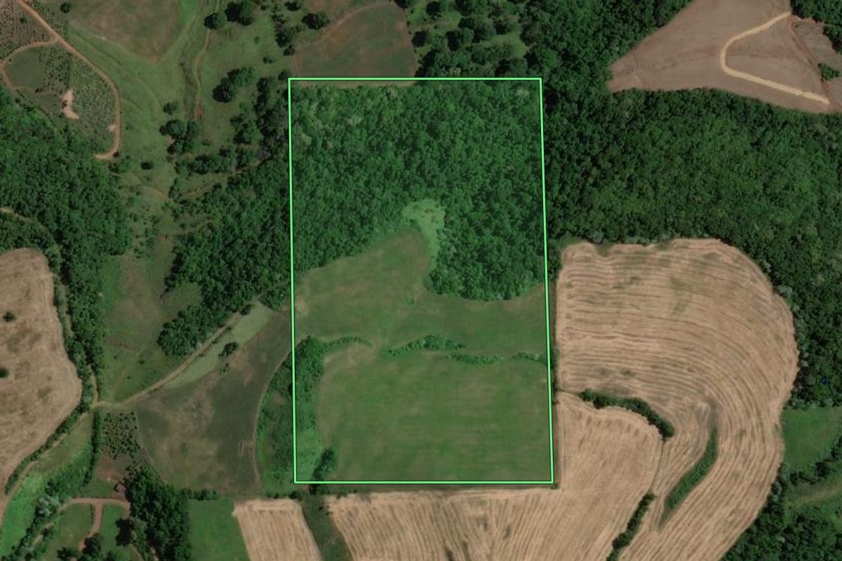 Imagem de satélite do imóvel rural em Severiano de Almeida (RS), com o contorno declarado no CAR desenhado por cima.