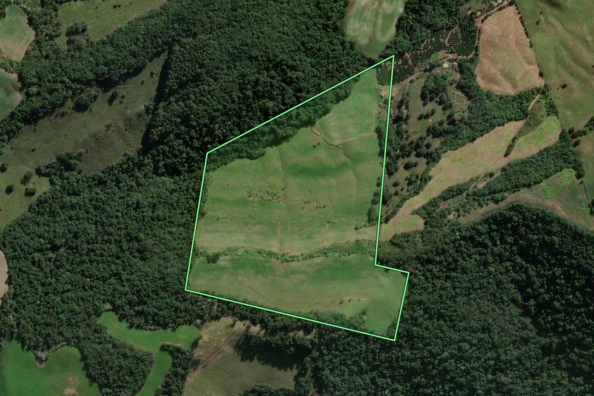Imagem de satélite do imóvel rural em Severiano de Almeida (RS), com o contorno declarado no CAR desenhado por cima.