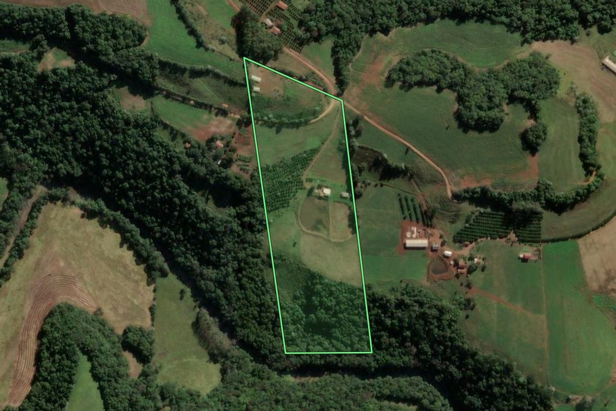 Imagem de satélite do imóvel rural em Severiano de Almeida (RS), com o contorno declarado no CAR desenhado por cima.