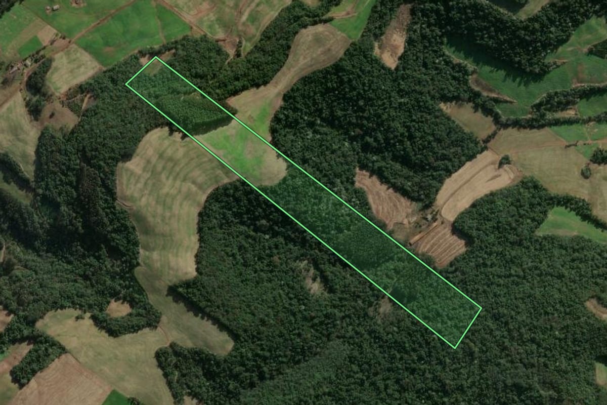 Imagem de satélite do imóvel rural em Severiano de Almeida (RS), com o contorno declarado no CAR desenhado por cima.