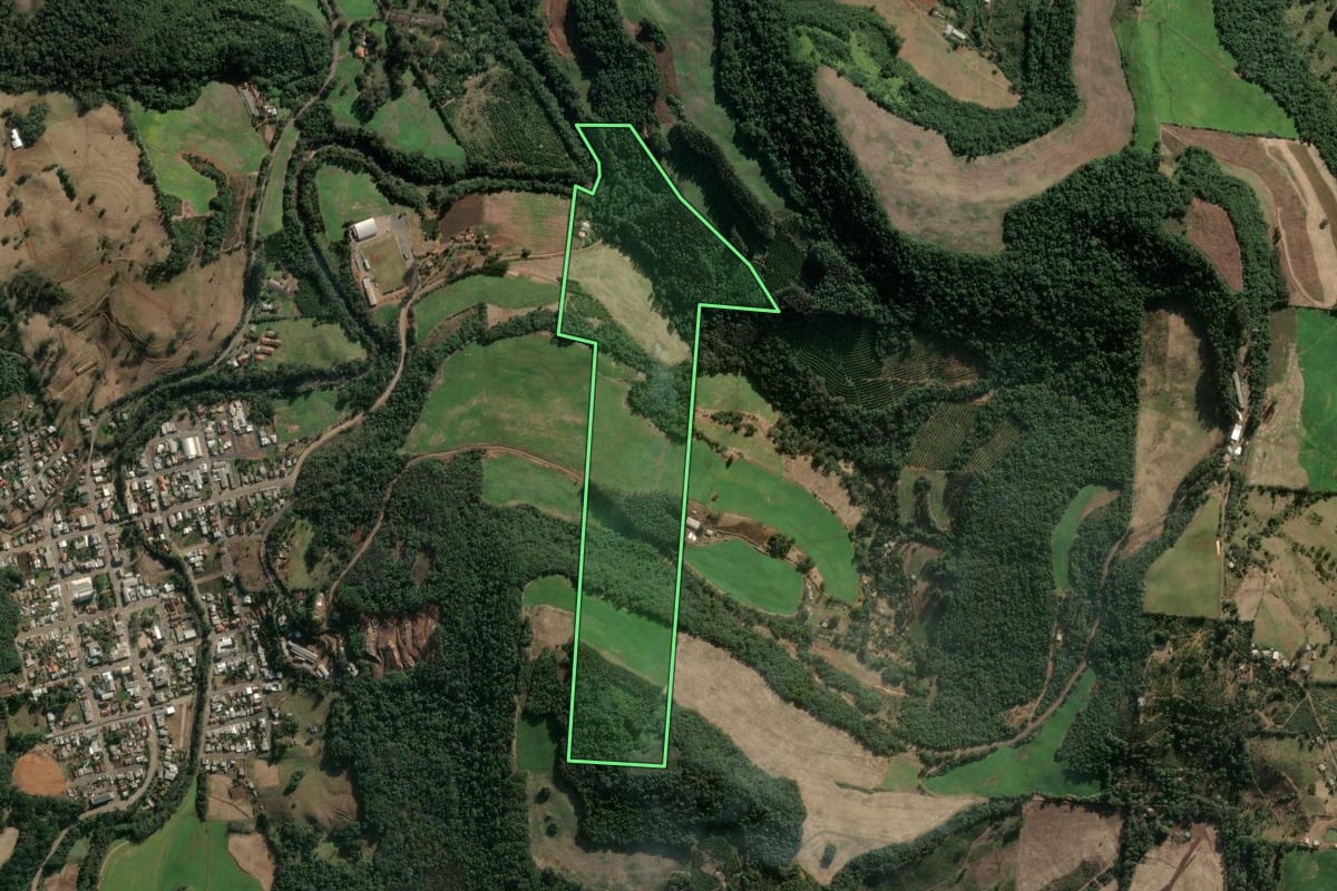 Imagem de satélite do imóvel rural em Severiano de Almeida (RS), com o contorno declarado no CAR desenhado por cima.