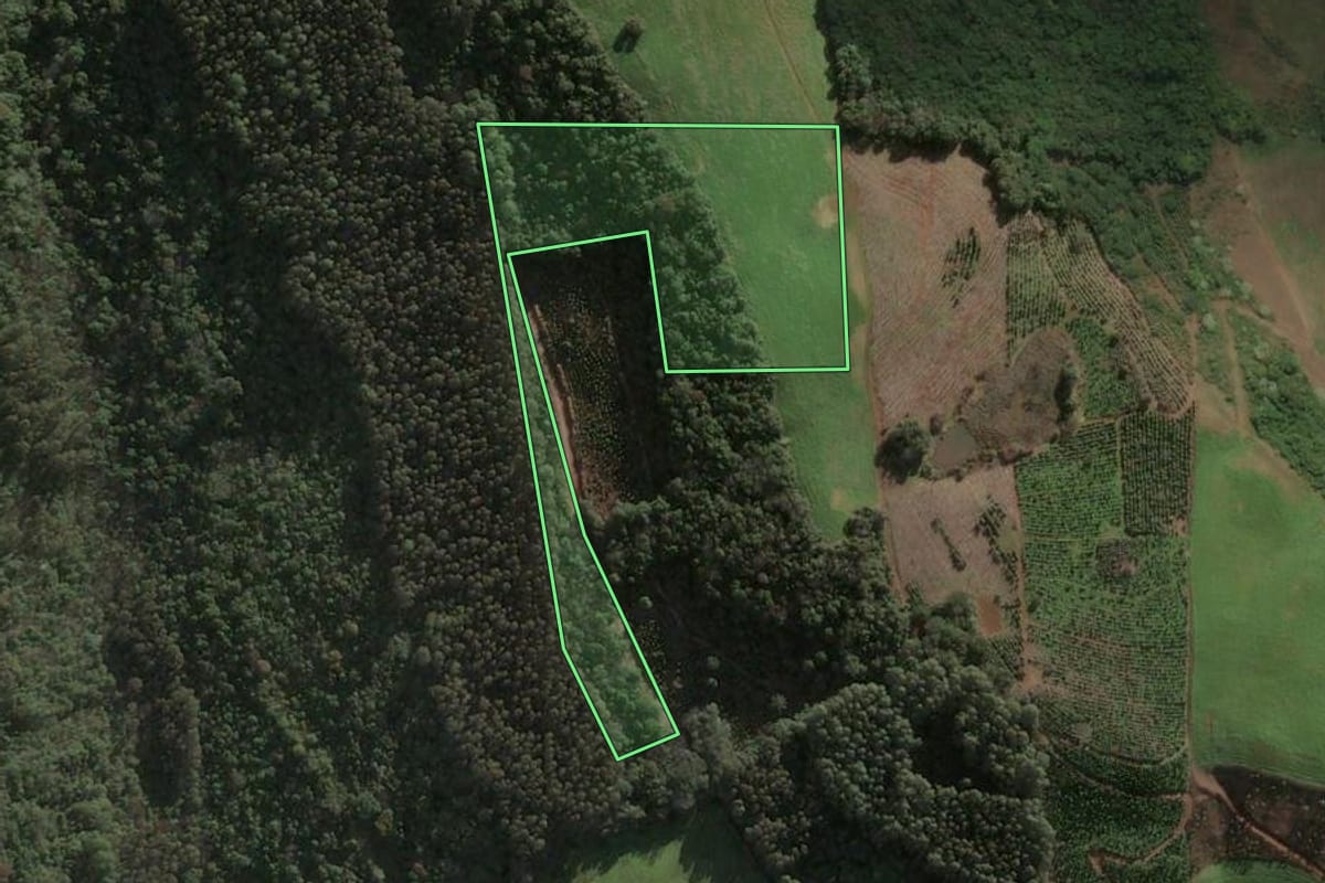 Imagem de satélite do imóvel rural em Severiano de Almeida (RS), com o contorno declarado no CAR desenhado por cima.