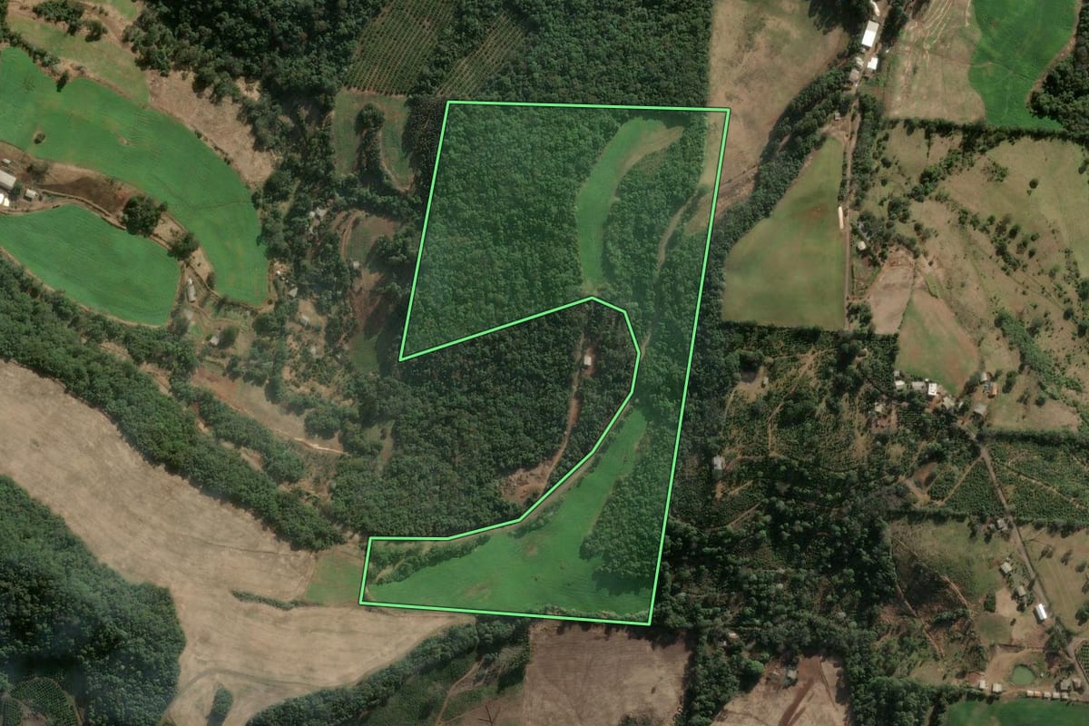 Imagem de satélite do imóvel rural em Severiano de Almeida (RS), com o contorno declarado no CAR desenhado por cima.